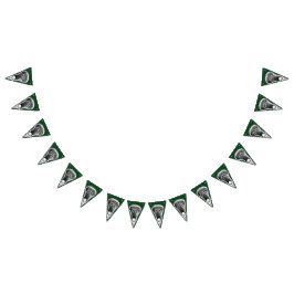 Lacrosse Party Wimpelkette