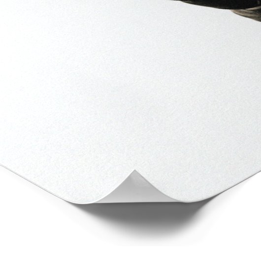 Lacrosse Player 3 Poster (Ecke)