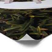 Lacrosse Stick and Ball Poster (Ecke)