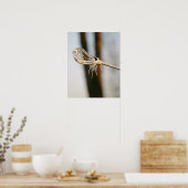 Lacrosse Stick Poster (Küche)