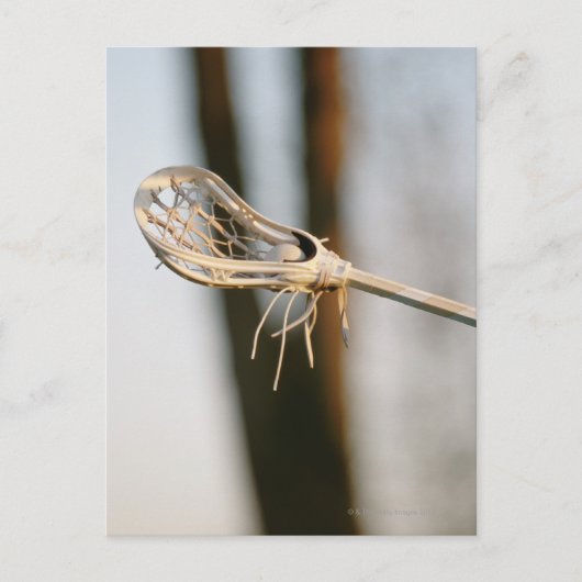 Lacrosse Stick Postkarte (Vorderseite)