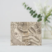 Lacs volcaniques postkarte (Stehend Vorderseite)