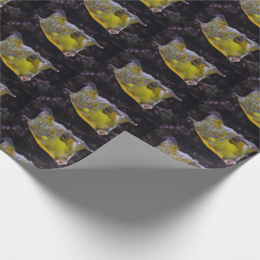 Lactoria cornuta geschenkpapier (Ecke)