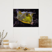 Lactoria cornuta poster (Küche)