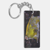 Lactoria cornuta schlüsselanhänger (Vorderseite links)