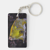 Lactoria cornuta schlüsselanhänger (Rückseite)