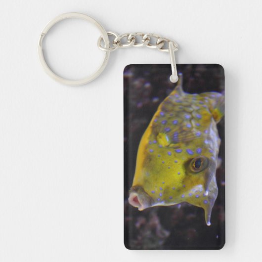 Lactoria cornuta schlüsselanhänger (Vorderseite)