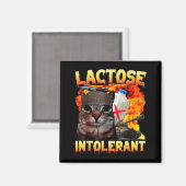 Lactose Intolerant Silly Cat Meme Funny Saying Cat Magnet (Vorderseite/Rückseite)