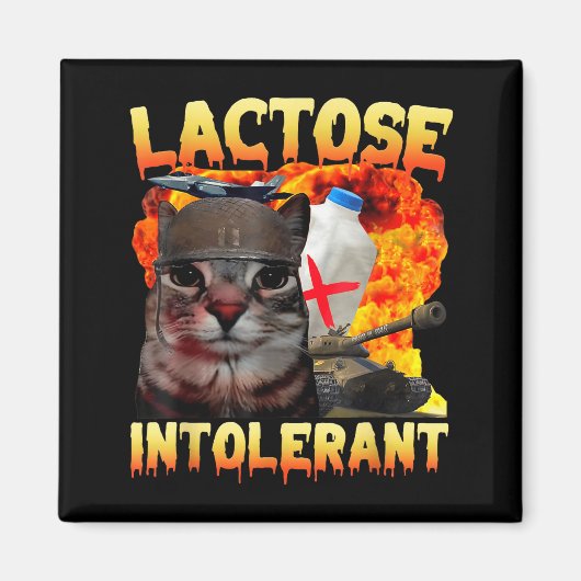 Lactose Intolerant Silly Cat Meme Funny Saying Cat Magnet (Vorne)