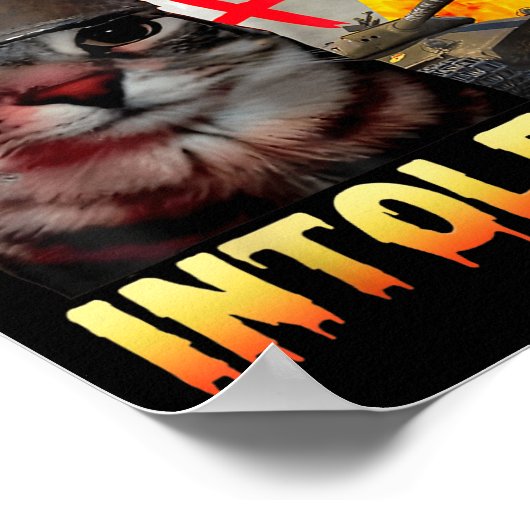 Lactose Intolerant Silly Cat Meme Funny Saying Cat Poster (Ecke)