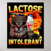 Lactose Intolerant Silly Cat Meme Funny Saying Cat Poster (Vorne)