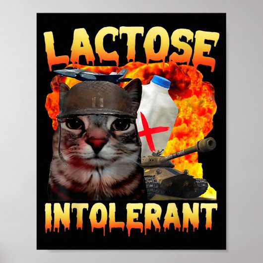 Lactose Intolerant Silly Cat Meme Funny Saying Cat Poster (Vorne)