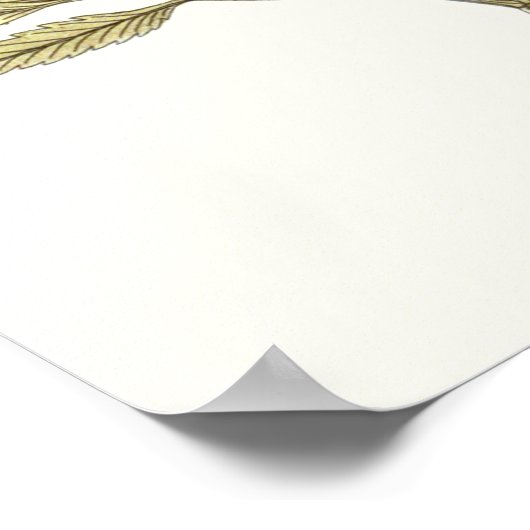 Lacy-Blätter - Blume und Grünflächen Poster (Ecke)