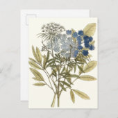 Lacy Blätter - Blumen und Grün Postkarte (Vorne/Hinten)