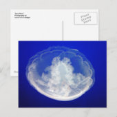 Lacy Moon Postcard Postkarte (Vorne/Hinten)