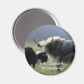 Ladakh, Der Himalaya, Yak (Magnet) Magnet (Vorderseite/Rückseite)