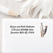 Ladder-Backed Woodpecker (Insitu)