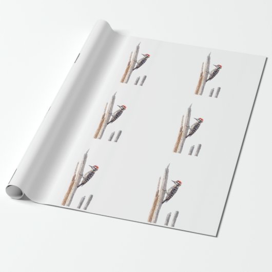 Ladder-Backed Woodpecker Geschenkpapier (Ungerollt)