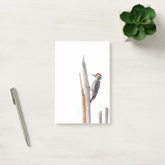 Ladder-Backed Woodpecker Post-it Klebezettel (Büro)