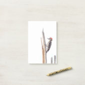 Ladder-Backed Woodpecker Post-it Klebezettel (Auf Schreibtisch)