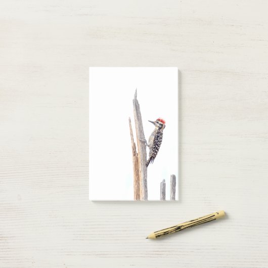 Ladder-Backed Woodpecker Post-it Klebezettel (Auf Schreibtisch)