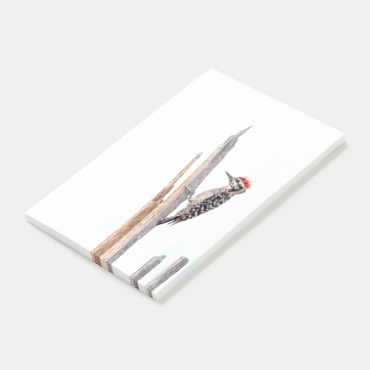 Ladder-Backed Woodpecker Post-it Klebezettel (angewinkelt)
