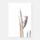 Ladder-Backed Woodpecker Post-it Klebezettel (Vorderseite)