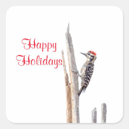 Ladder-Backed Woodpecker Quadratischer Aufkleber