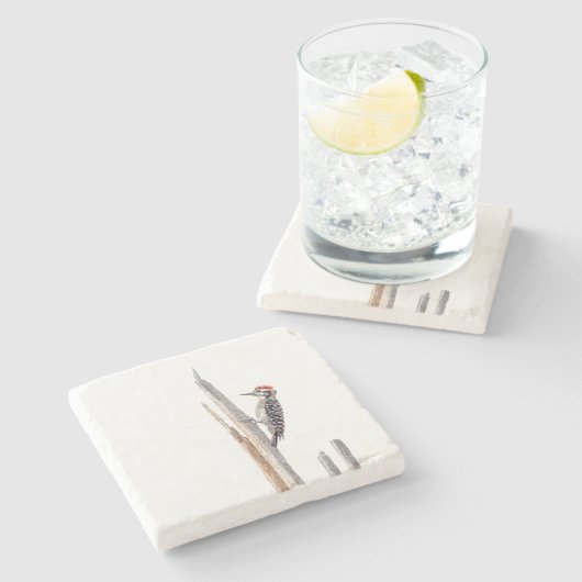 Ladder-Backed Woodpecker Steinuntersetzer (Seitenansicht)