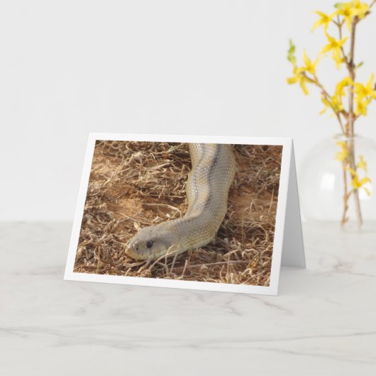 Ladder Snake Card Karte (Gelbe Blume)