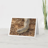 Ladder Snake Card Karte (Vorderseite)