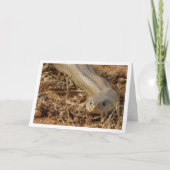 Ladder Snake Card Karte (Vorderseite)