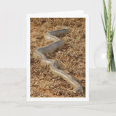 Ladder Snake Card Karte (Vorderseite)