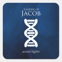 Ladder von Jacob Sticker