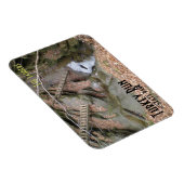 Ladders, Turkey Run Staat Park Magnet (Rechte Seite)