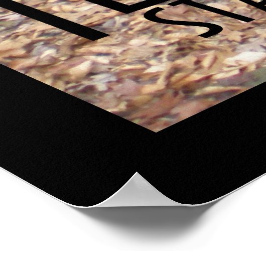 Ladders, Turkey Run Staat Park Poster (Ecke)