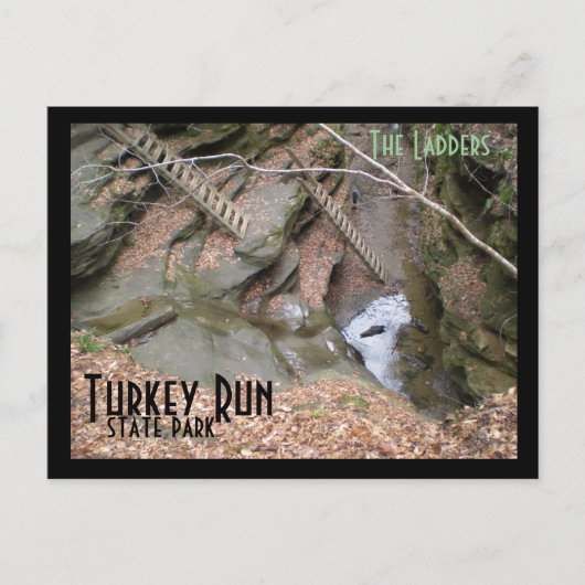 Ladders, Turkey Run Staat Park Postkarte (Vorderseite)