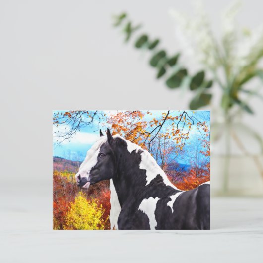 "Laddie" Postkarte (Stehend Vorderseite)