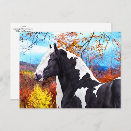 "Laddie" Postkarte (Vorne/Hinten)