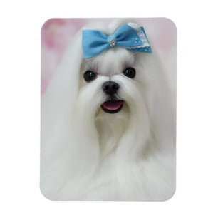 Lade Dein Hunde-Foto Hoch Süßes Fell-Baby Magnet