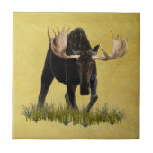 Ladebulle Fliese (Vorderseite)