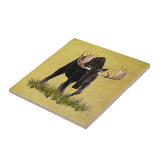 Ladebulle Fliese (Seite)