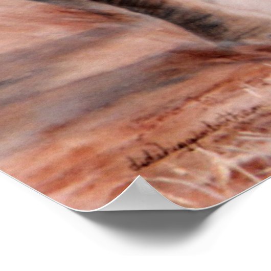 LadeElefant Poster (Ecke)