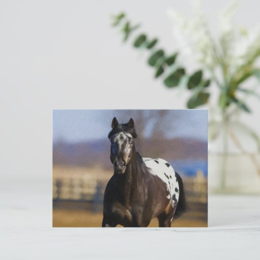 Ladegerät Postkarte (Stehend Vorderseite)