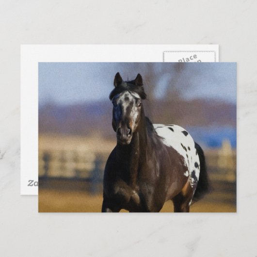 Ladegerät Postkarte (Vorne/Hinten)