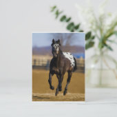 Ladegerät Postkarte (Stehend Vorderseite)