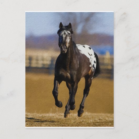 Ladegerät Postkarte (Vorderseite)