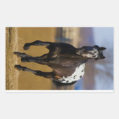 Ladegerät Rechteckiger Aufkleber (Vorderseite)