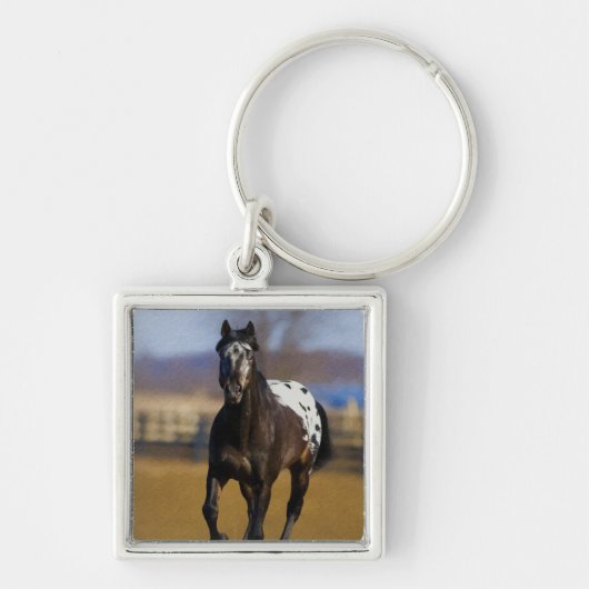 Ladegerät Schlüsselanhänger (Vorne)