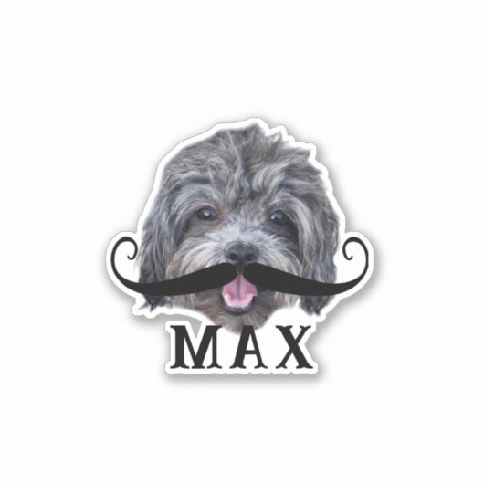 Laden Sie Ihr Foto für das Gesicht Ihres Hauses un Aufkleber (Vorderseite)